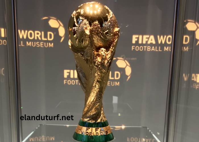 Coupe Du Monde