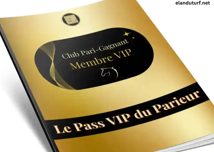 Les 3 Gagnants VIP