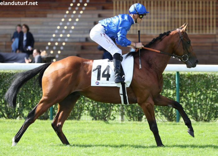 Resultat Des Courses Aujourd’hui