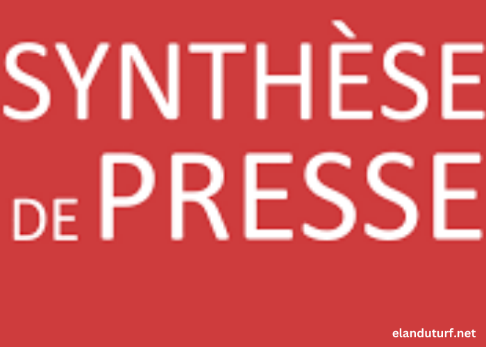 Synthèse DE LA Presse