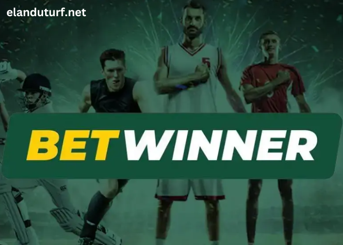 L'impact de Betwinner sur les paris en ligne au Burkina Faso