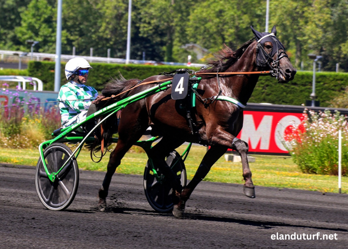 Jolie Turf Gagnant