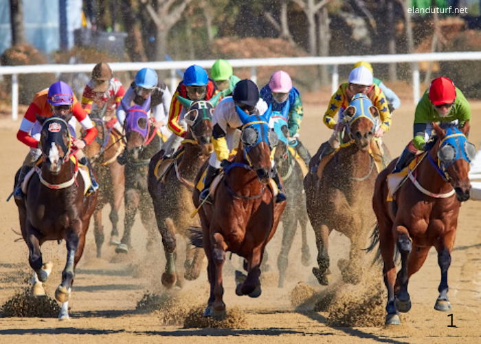 Comment gérer votre bankroll lorsque vous pariez sur les courses de chevaux