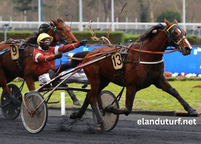 Base Couple Gagnant