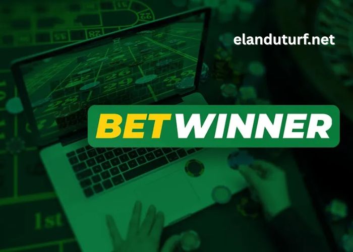 Betwinner Affiliates (2)