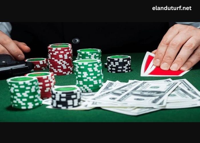 Bookmaker 33win – Top choice for online bettors