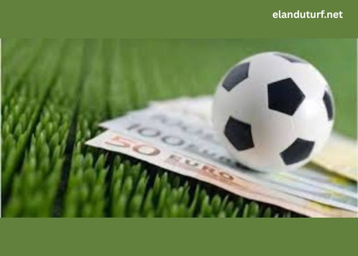 Bookmaker 3king – The top reputable choice for online bettors (1)
