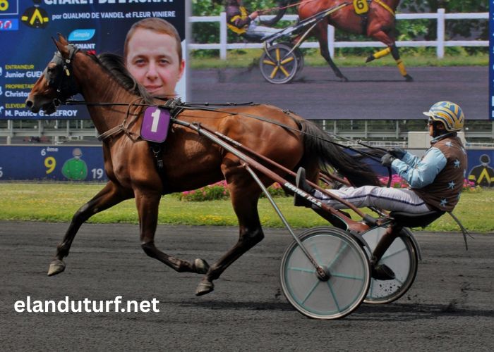 Derniere Minute Turf