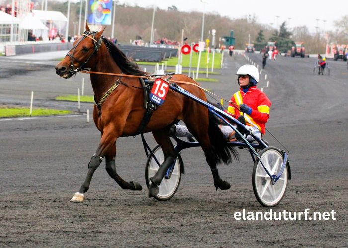 LA Richesse Turf (2)