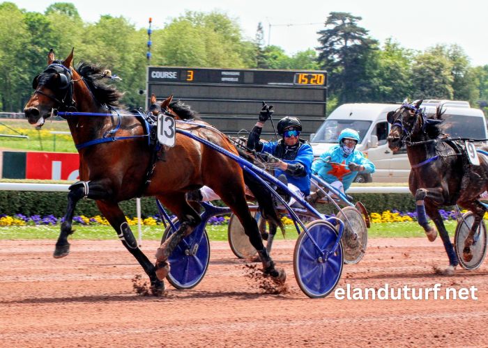 Programme Pmu DE Demain Lonab Pronostics (3)