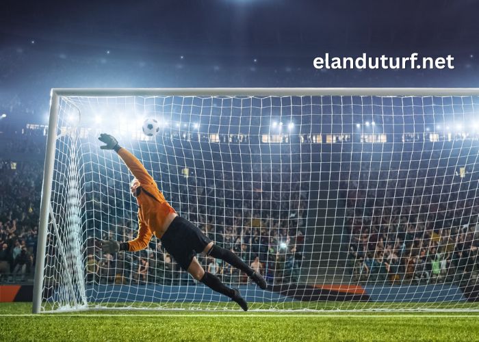 Prono Fiable Gagnant (3)