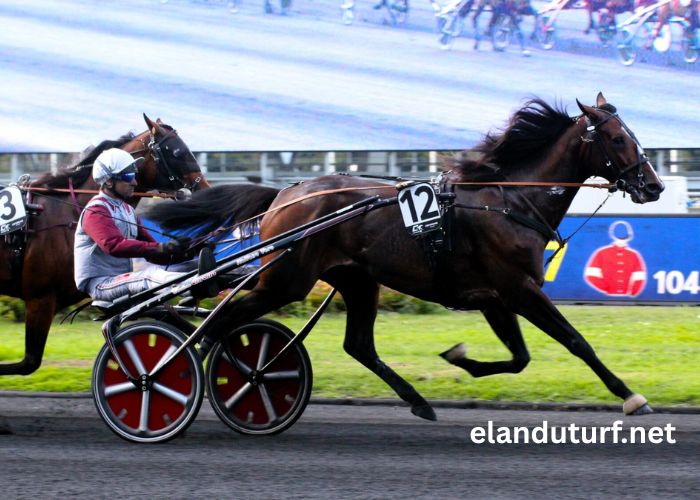 Pronostic Quinté Demain (1)