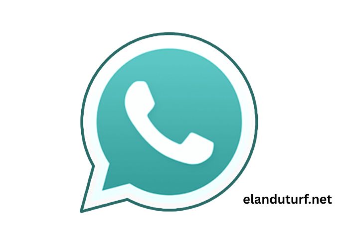 Whatsapp Pour Pc (1)