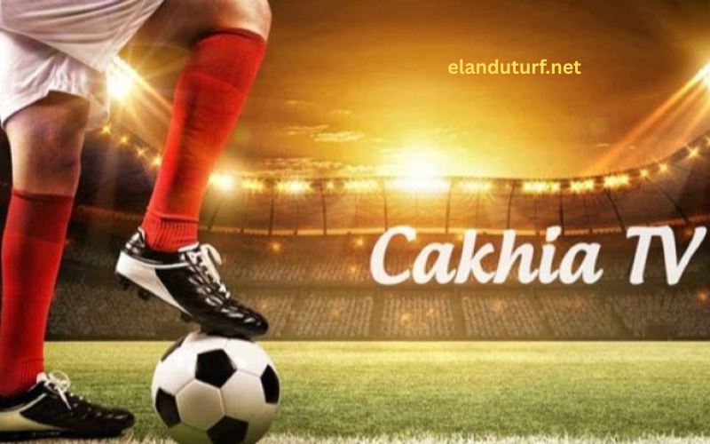 Step 2 – Navigate To The Live Match Section
