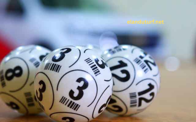 Notes When Playing Lottery 78win